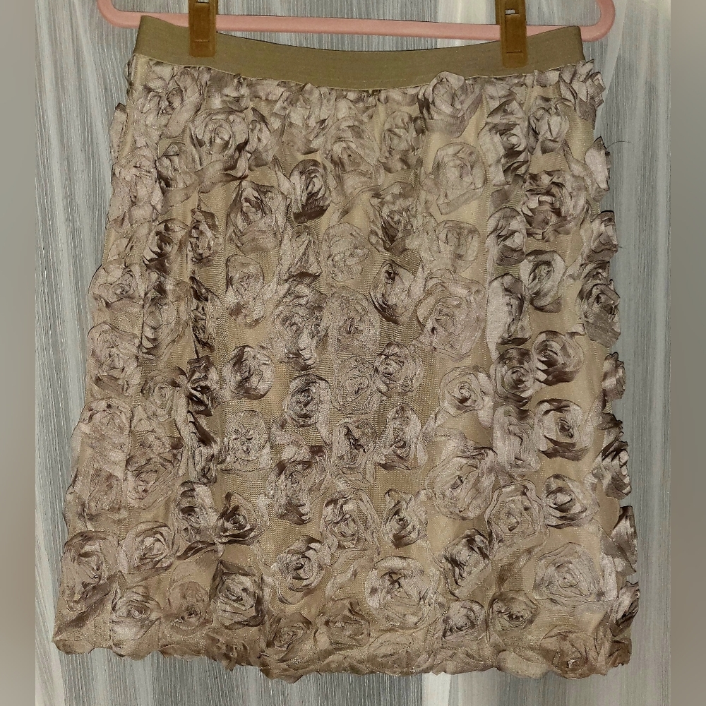 Isaac Mizrahi Live! Rose Textured Skirt - M